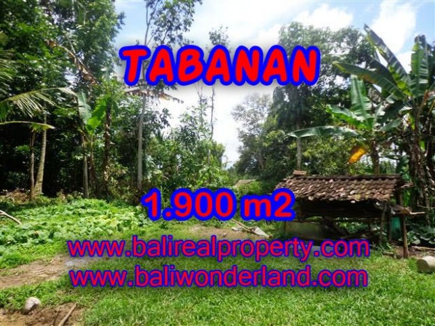 TANAH DI TABANAN BALI DIJUAL TJTB091 - PELUANG INVESTASI PROPERTY DI BALI