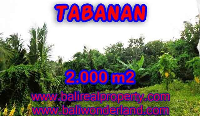 DIJUAL TANAH MURAH DI TABANAN TJTB099 - PELUANG INVESTASI PROPERTY DI BALI