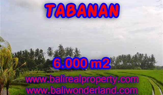 INVESTASI PROPERTI DI BALI - DIJUAL TANAH DI BALI, MURAH DI TABANAN TJTB093