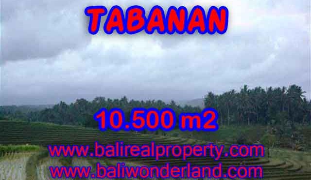 Jual Tanah murah di TABANAN TJTB095 - Kesempatan investasi property di Bali