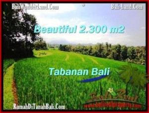 INVESTASI PROPERTI, TANAH di TABANAN DIJUAL TJTB209