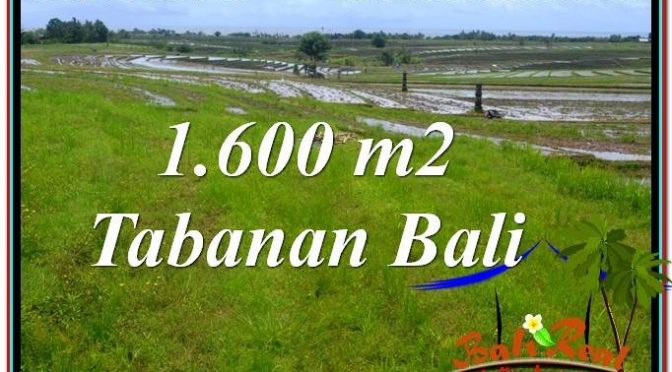 JUAL MURAH TANAH di TABANAN BALI 1,600 m2 di Tabanan Selemadeg