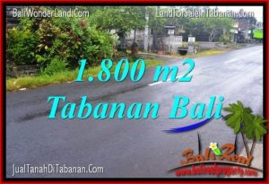 JUAL MURAH TANAH di TABANAN BALI 1,800 m2  View sawah