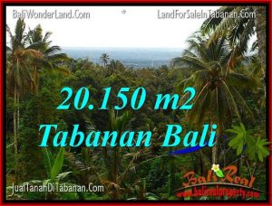 JUAL TANAH di TABANAN BALI TJTB322