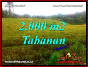 JUAL TANAH MURAH di TABANAN 2,000 m2 View Laut, Gunung dan Sawah