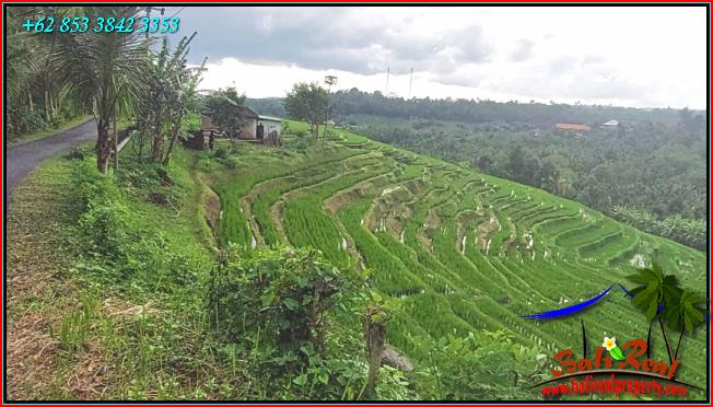 JUAL TANAH MURAH di TABANAN 11,000 m2  View Sawah dan Gunung