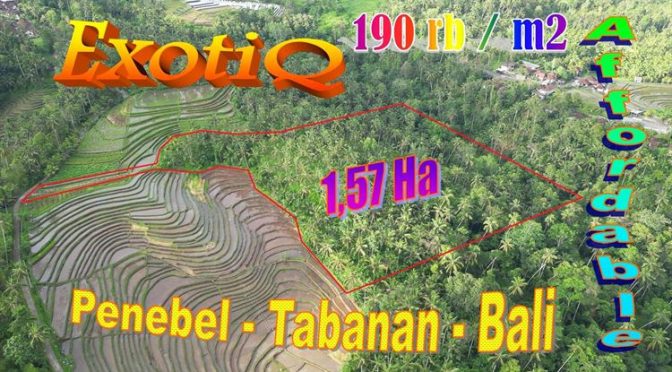 TANAH MURAH di TABANAN BALI DIJUAL 157 Are View Sawah, Sungai dan Gunung