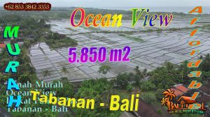 TANAH JUAL MURAH TABANAN 5,850 m2 View sawah, Gunung dan Laut