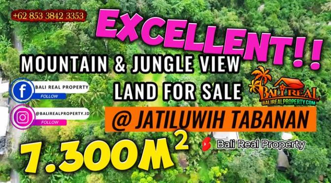 TANAH MURAH JUAL di TABANAN BALI 73 Are View Jungle dan Gunung Batukaru