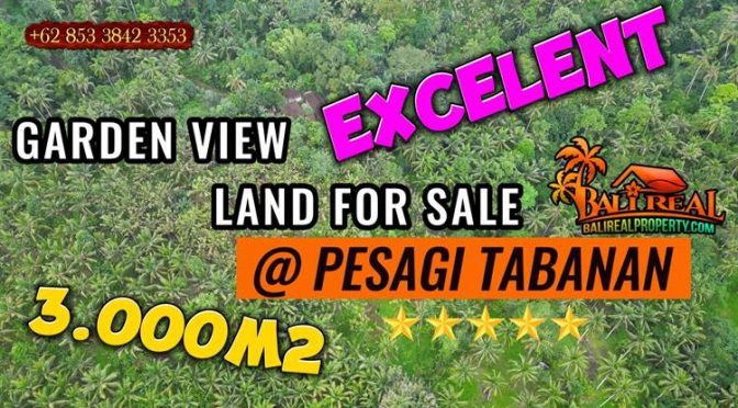 JUAL MURAH TANAH di TABANAN 30 Are View hutan dan sungai kecil