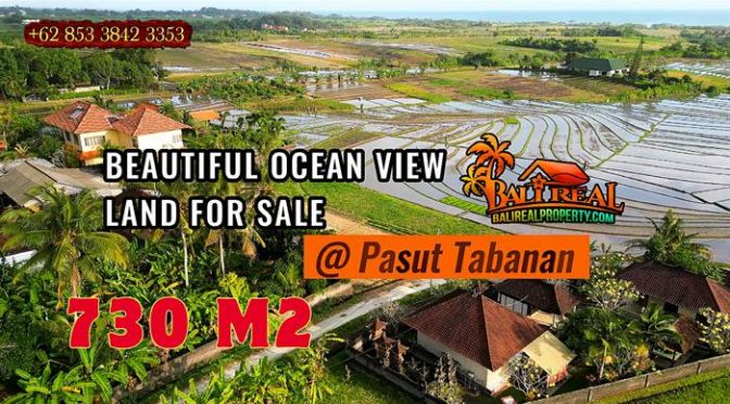 TANAH DIJUAL di TABANAN BALI 7.3 Are di Kerambitan Tabanan