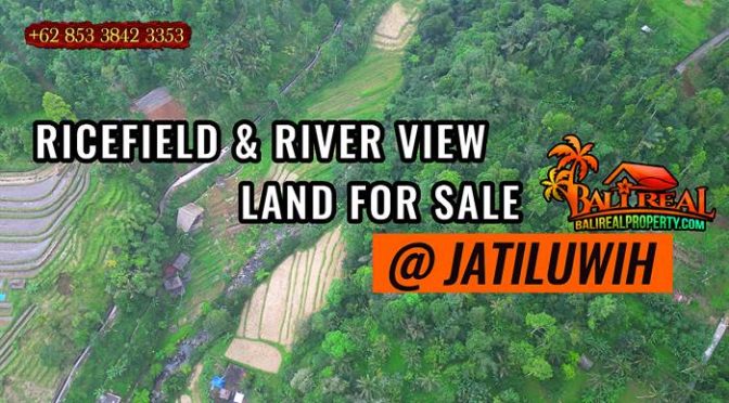 TANAH DIJUAL di TABANAN BALI 60 Are View gunung, sawah dan sungai