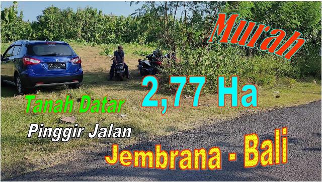 INVESTASI PROPERTY, TANAH MURAH di JEMBRANA BALI DIJUAL TJB2022N