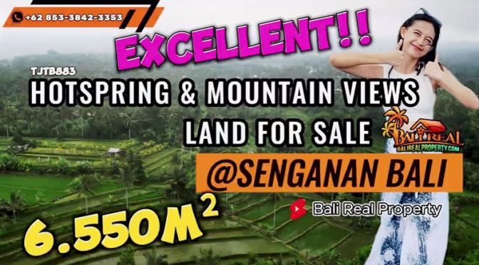 TANAH DIJUAL di TABANAN BALI 65.5 Are View Sawah, Gunung dengan beberapa sumber Mata Air Panas di Lokasi