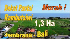 TANAH MURAH di JEMBRANA BALI DIJUAL 130,3 Are di Jembrana