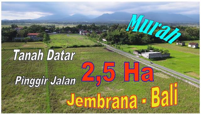 JUAL TANAH MURAH di JEMBRANA 24.490 m2 di Jembrana